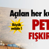 Çalıntı teknede 56 kaçak göçmen yakalandı Çalıntı teknede 56 kaçak göçmen yakalandı