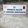 Osmaniye'de sit alanında kaçak kazı yaptıkları iddiasıyla 2 zanlı yakalandı