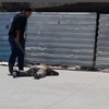 Zabıtadan seyyar satıcıya bayıltan dayak Zabıtadan seyyar satıcıya bayıltan dayak