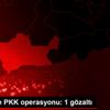Mardin de PKK operasyonu: 1 gözaltı