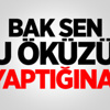 Taha Akgül Altın Madalya Kazandı Taha Akgül Altın Madalya Kazandı
