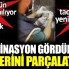 ﻿ Halüsinasyon gördürüyor derilerini parçalatıyor