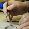 "Nanomekanik tartı" icat edildi "Nanomekanik tartı" icat edildi