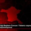 Gençlerbirliği Başkanı Cavcav: Yabancı sayısında 11 ...