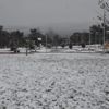 Kar İstanbul sınırlarını sardı! Meteoroloji’den son dakika hava durumu tahminleri…