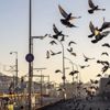 31 ildeki sokağa çıkma kısıtlaması başladı 31 ildeki sokağa çıkma kısıtlaması başladı