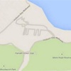 Google Maps'e kedi girmiş!