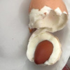Kaynattığı yumurtanın içinden çıkan şaşırttı!