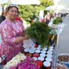 Bodrum "Acı Ot Festivali" başladı