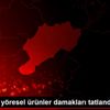 Muğla da yöresel ürünler damakları tatlandırdı Muğla da yöresel ürünler damakları tatlandırdı