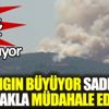 ﻿Heybeliada'da yangın büyüyor, sadece bir uçakla müdahale ediliyor