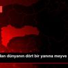 Erzincan dan dünyanın dört bir yanına meyve suyu ihracatı