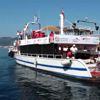 MUĞLA İlk kez dalış yapan 40 kadın, deniz dibini temizledi MUĞLA İlk kez dalış yapan 40 kadın, deniz dibini temizledi