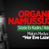 Organize Namussuzluk Organize Namussuzluk