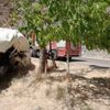 Çatak’ta trafik kazası; 1 yaralı Çatak’ta trafik kazası; 1 yaralı