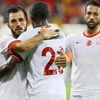 Aslan hazır kıta