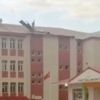 Bingöl’de rüzgar, ağaçları devirdi Bingöl’de rüzgar, ağaçları devirdi