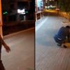 Mersin’de ağaç katliamı kamerada