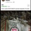 Iraklı kadın yardım kömürlerini satışa çıkardı Iraklı kadın yardım kömürlerini satışa çıkardı
