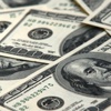 Dolar rekoru