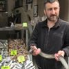 1 metre uzunluğunda yılan balığı yakaladılar 1 metre uzunluğunda yılan balığı yakaladılar