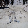 Terör örgütünden geri alınan Tikrit'te 12 tane toplu mezar bulundu! Terör örgütünden geri alınan Tikrit'te 12 tane toplu mezar bulundu!