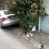 Aydın da soğuk havada iç ısıtan görüntü