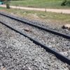 Koyun sürüsüne tren çarptı Koyun sürüsüne tren çarptı
