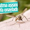 DSÖ, sıtma aşısını onayladı