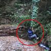 Kendisini Tarzan zannetti... Sonu hüsranla bitti Kendisini Tarzan zannetti... Sonu hüsranla bitti