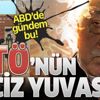 FETÖ'nün ABD'deki okullarında cinsel taciz ve yolsuzluk skandalları! Ülkede gündemden düşmüyor FETÖ'nün ABD'deki okullarında cinsel taciz ve yolsuzluk skandalları! Ülkede gündemden düşmüyor