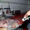Başkent’te kaçak et operasyonu Başkent’te kaçak et operasyonu
