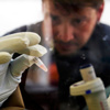 Avusturya'da Ebola şüphesi