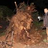 Mersin’deki hortum maddi hasara neden oldu