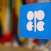 OPEC+ Grubu toplantısı perşembe gününe ertelendi OPEC+ Grubu toplantısı perşembe gününe ertelendi