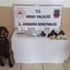 Ordu'da uyuşturucu operasyonu: 4 gözaltı Ordu'da uyuşturucu operasyonu: 4 gözaltı