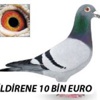 Katili, kardeşi yakalattı
