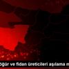 Bursalı çöğür ve fidan üreticileri aşılama mesaisinde Bursalı çöğür ve fidan üreticileri aşılama mesaisinde