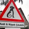 Kedi&Köpek çıkabilir Kedi&Köpek çıkabilir