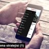 İç borçlanma stratejisi (1) İç borçlanma stratejisi (1)