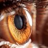 Uzmanından salgın döneminde lens kullanımına ilişkin uyarı! Uzmanından salgın döneminde lens kullanımına ilişkin uyarı!