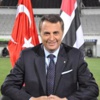Orman: Pektemek işi çözülür