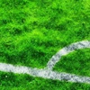Karadeniz derbisi golsüz bitti Karadeniz derbisi golsüz bitti