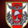 Cizre'de 12 terörist öldürüldü!