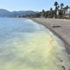 Marmaris'te denizin rengi sarıya döndü