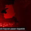 Van da canlı hayvan pazarı kapatıldı Van da canlı hayvan pazarı kapatıldı