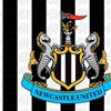 Newcastle United, Shelvey'i transfer etti