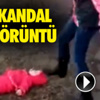 Ptt 1. Lig