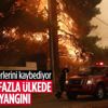 40’tan fazla ülkede ormanlar alev alev