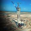 Havaalanı ormanı yutuyor Havaalanı ormanı yutuyor